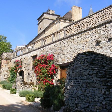 Chateau De Laumiere Promilhanes Εξωτερικό φωτογραφία