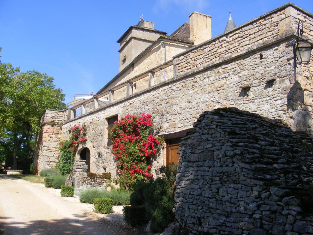 Chateau De Laumiere Promilhanes Εξωτερικό φωτογραφία